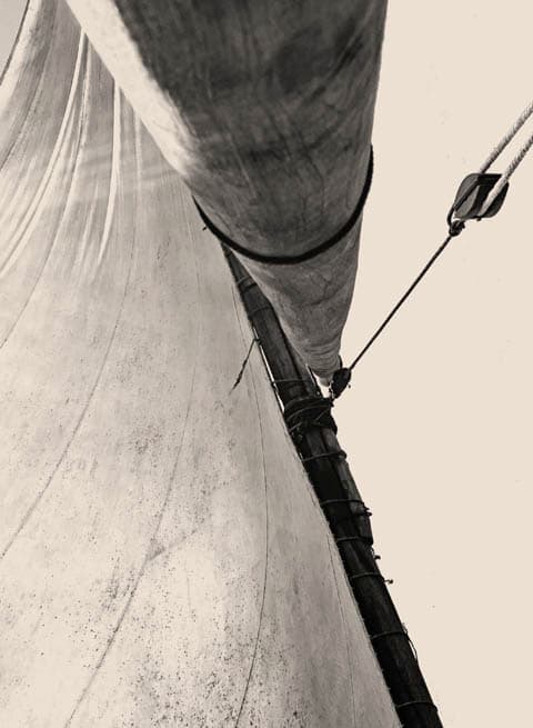 Al Dhaheri family date farms in Al-Ain, UAE