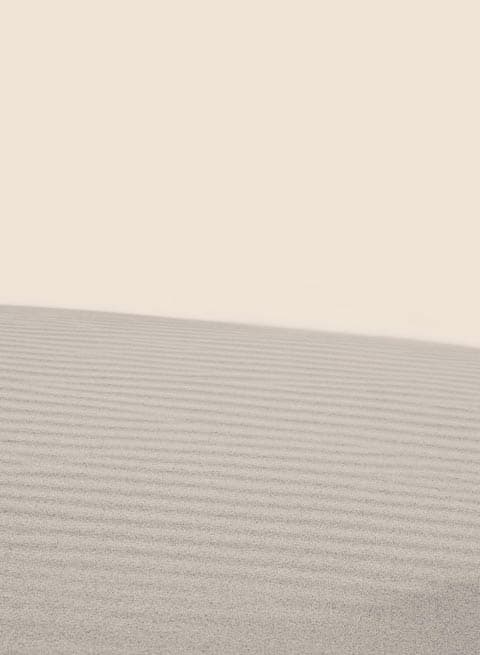 The Date Room production facility in Dubai