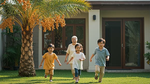 Growing a Legacy: Date Palms as Heirloom Trees